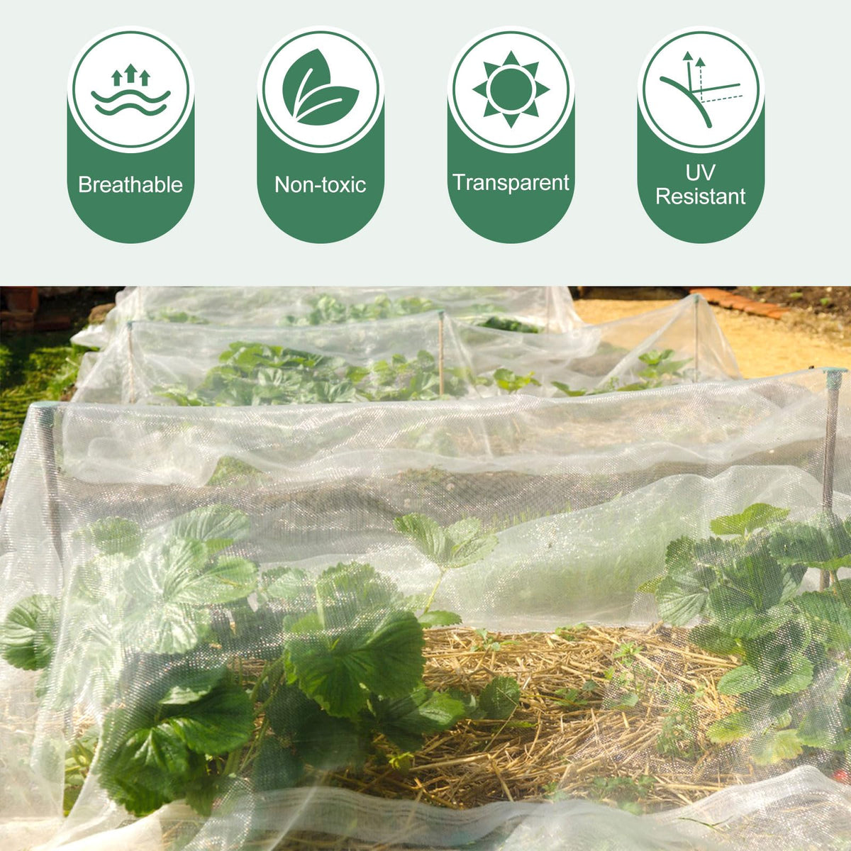 WiMas flexible installation netting drapes over crops with buried edges.