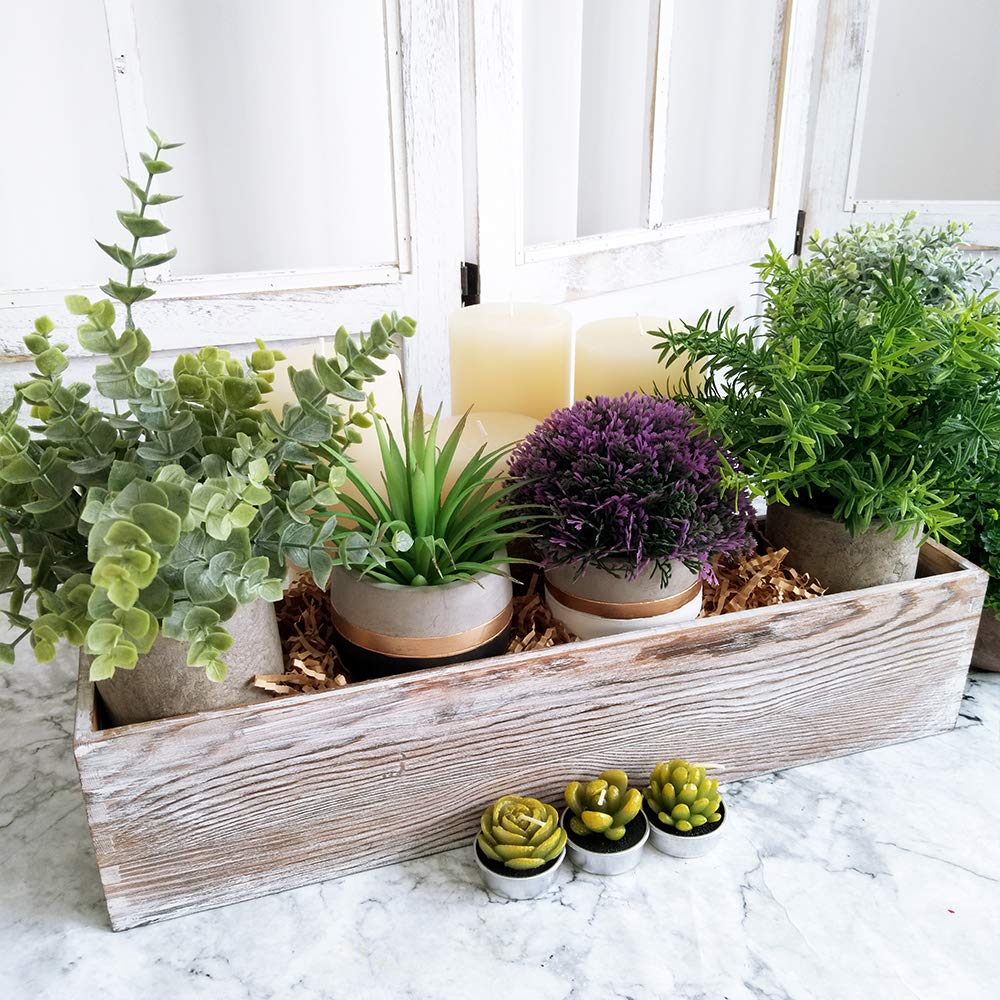 Windiy rustic rectangular planter filled with succulents for a charming display.