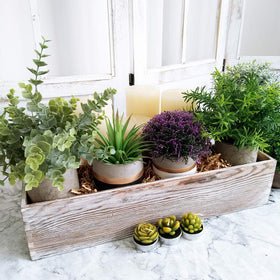 Windiy rustic rectangular planter filled with succulents for a charming display.