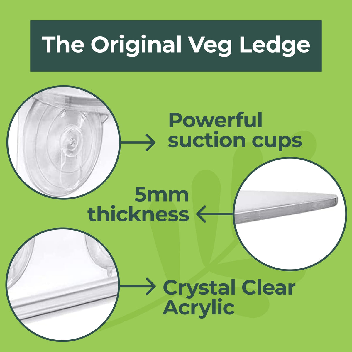 Window Garden suction cups attach securely to smooth surfaces enabling vertical plant display