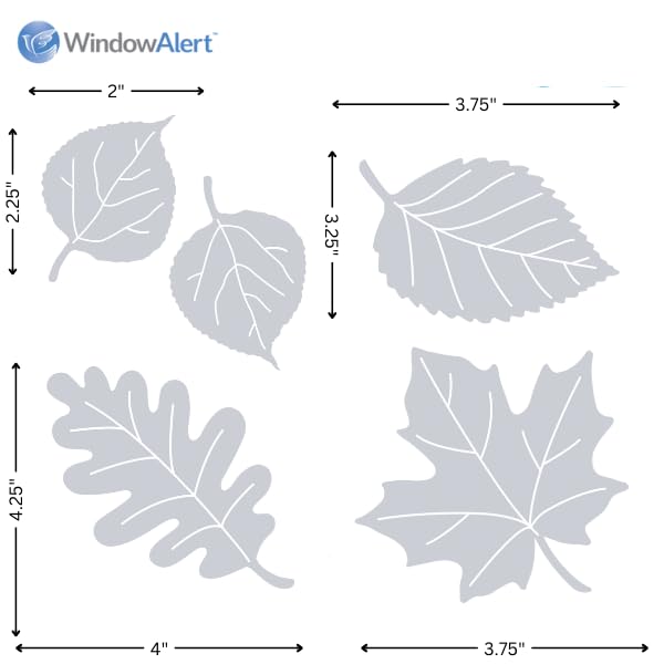 WindowAlert oak 4inch leaf decal on window face reduces bird collisions.