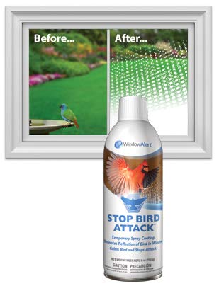 WindowAlert Stop Bird Attack coating being sprayed on glass window