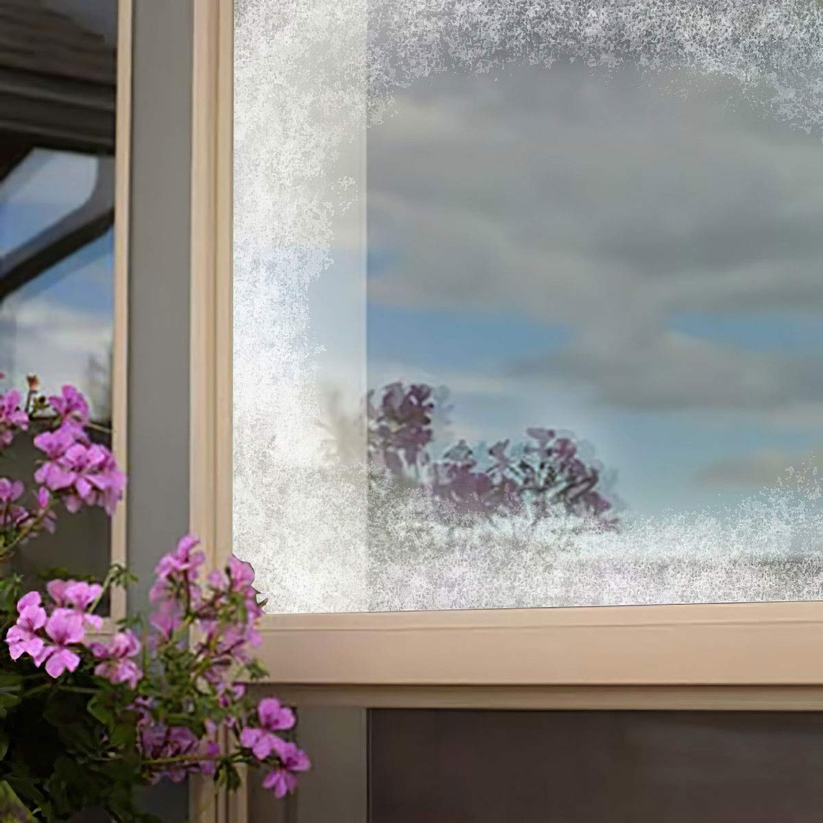 Removable white coating visible on glass for WindowAlert Stop Bird Attack