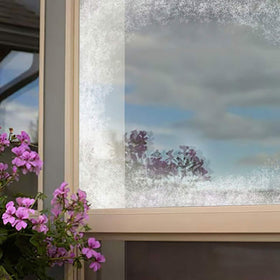 Removable white coating visible on glass for WindowAlert Stop Bird Attack