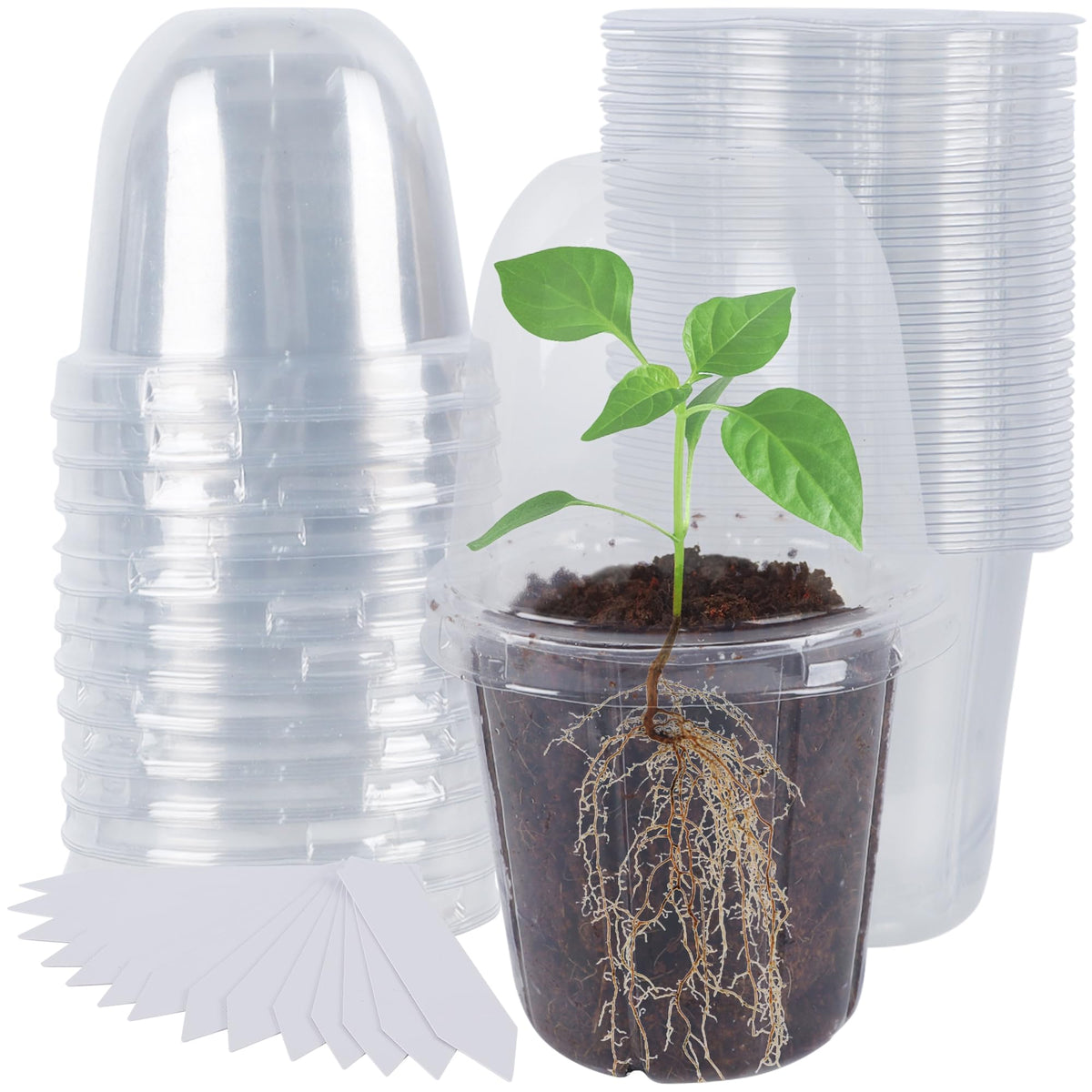 Winemana 36-set nursery pots with humidity dome for visible seed growth and healthy roots.