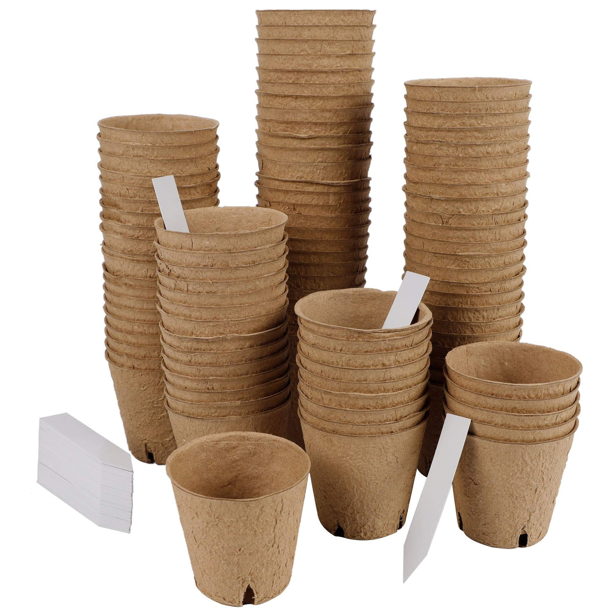 winemana kit suited for beginners, encouraging confident seed starting and gentle care