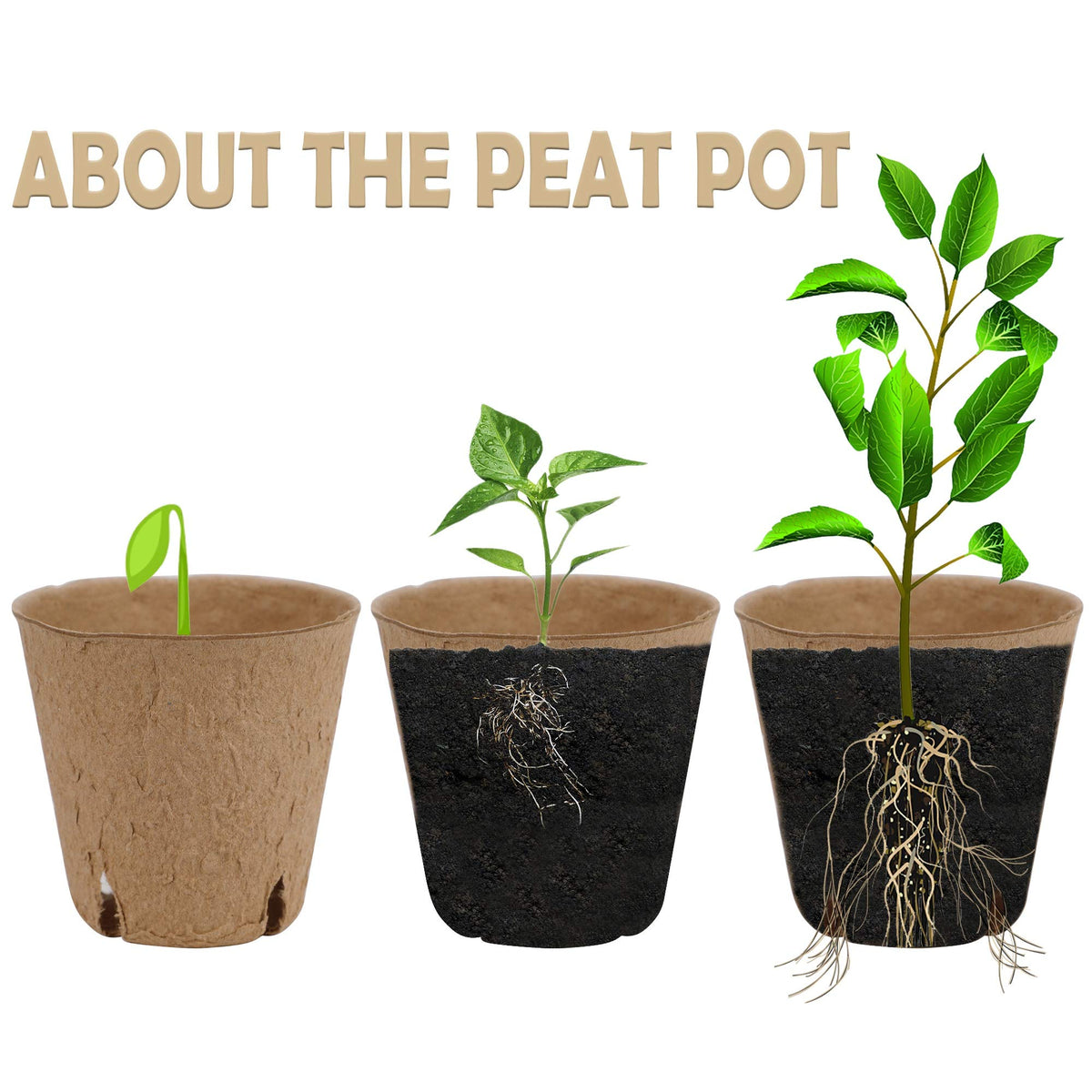 winemana peat pots bottom ventilation feature supports healthy root growth during germination