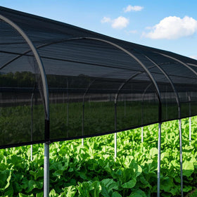 Winemana shade cloth over chicken coop creates cooler, comfortable outdoor conditions.