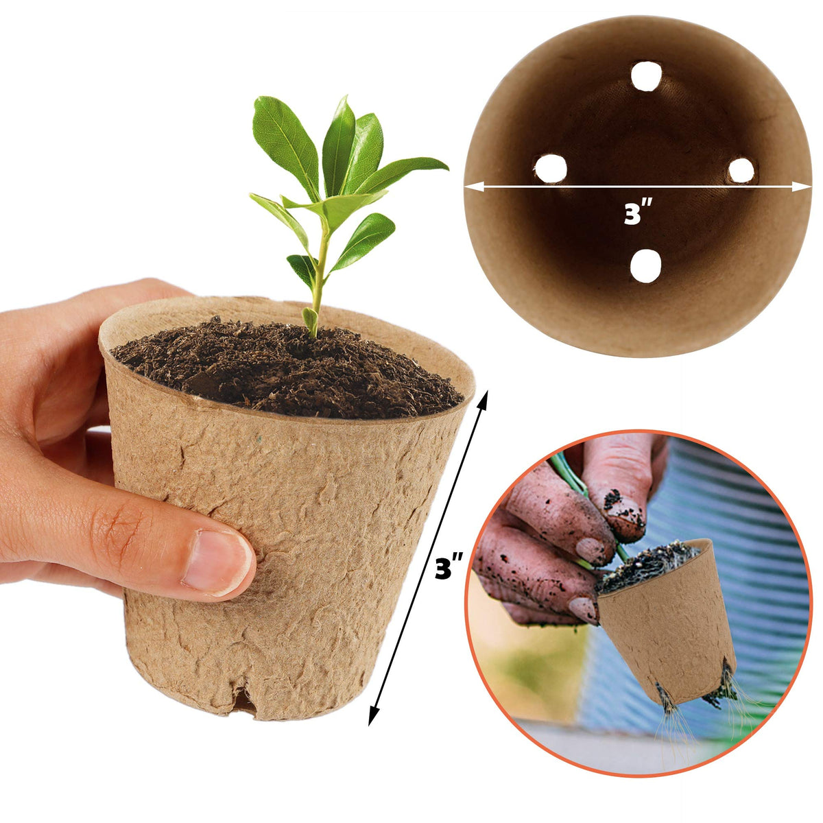 winemana plant labels included help organize seedlings for accurate care