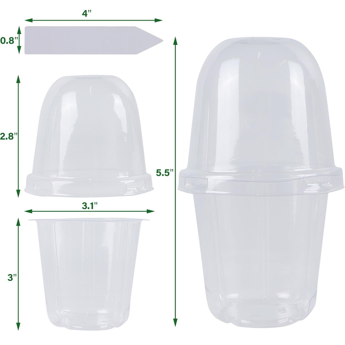 Winemana clear nursery pots let light reach roots for better growth observation.