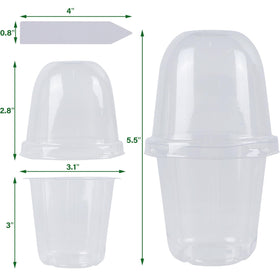 Winemana clear nursery pots let light reach roots for better growth observation.