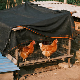 Winemana dog kennel cover shade improves outdoor comfort for pets.