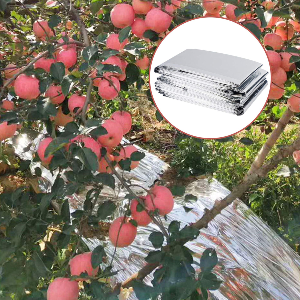 Winemana durable tear-resistant film ready for rugged outdoor use
