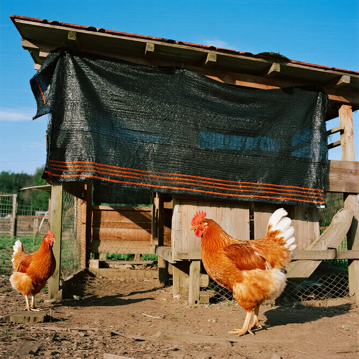 Winemana breathable shade cloth easily cleaned with a garden hose in a garden.
