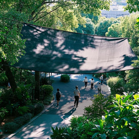 Winemana garden bed shade reduces heat exposure for vegetables