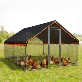 Winemana shade cloth protects garden seedlings with balanced light.