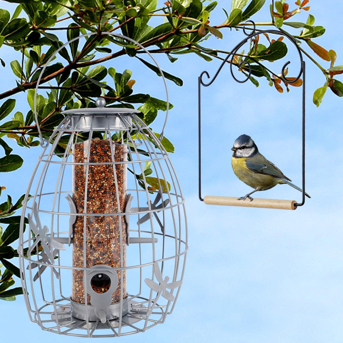 Winemana hummingbird swing allows close observation from indoors