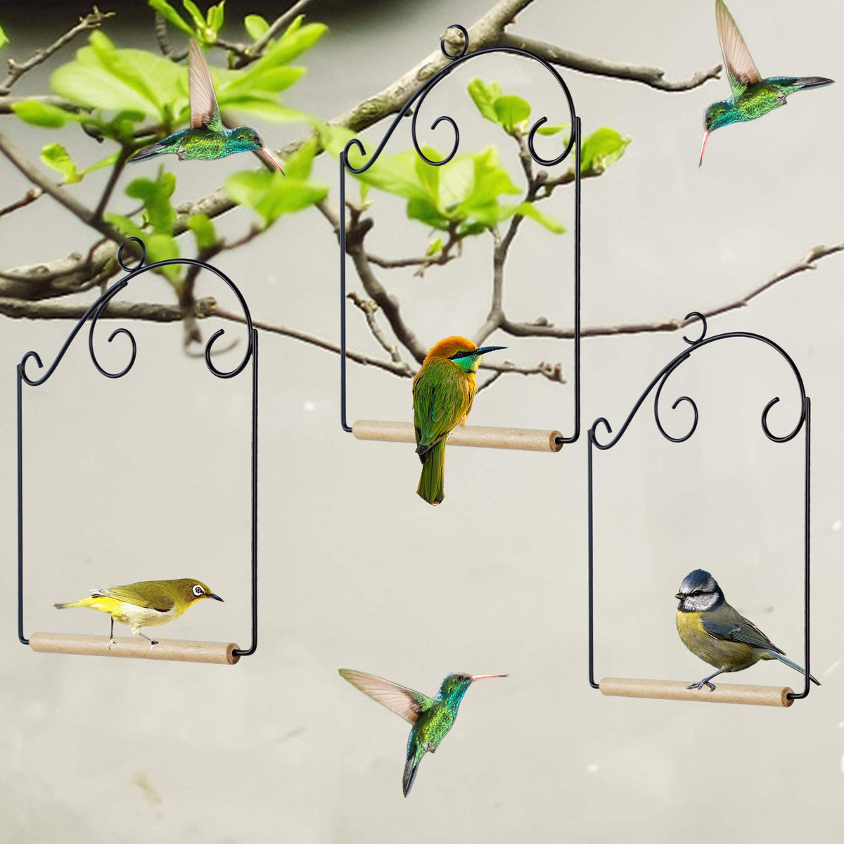 Winemana hummingbird swing ceiling or branch hook for versatile installation