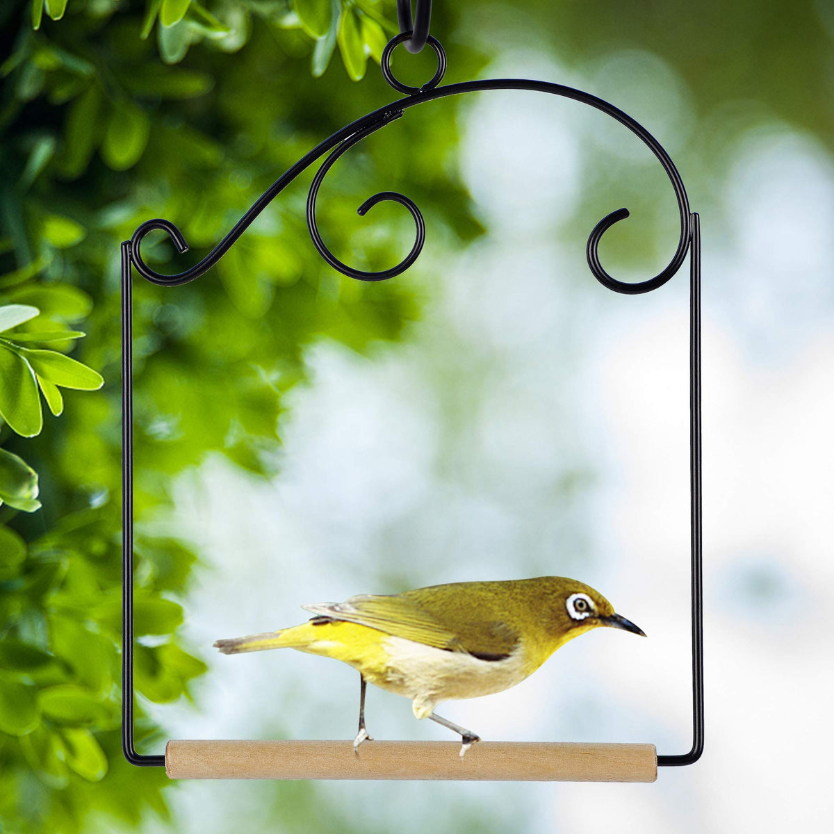 Winemana indoor-outdoor hummingbird swing enables relaxing wildlife moments