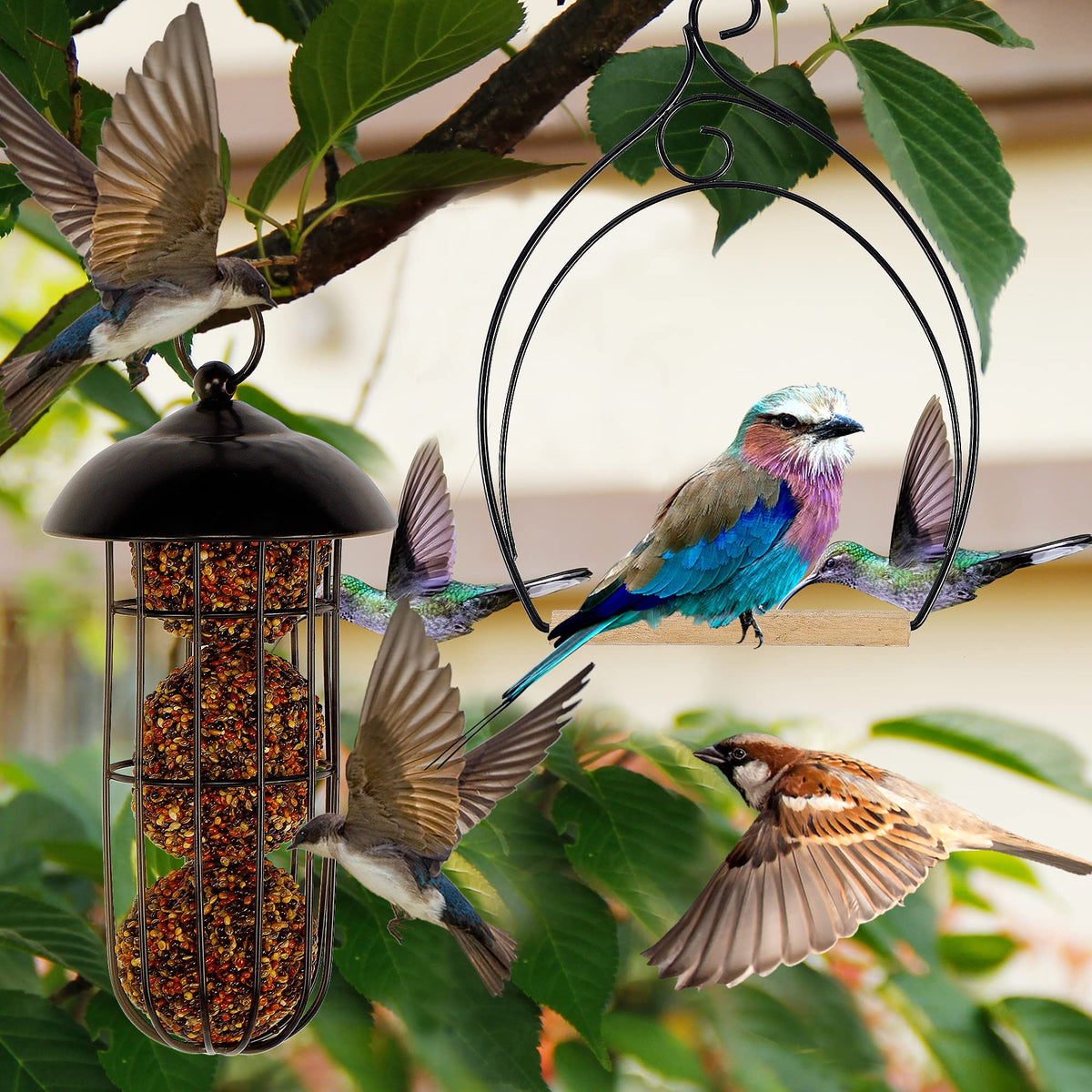Winemana natural wood base supports gentle roosting and rest.