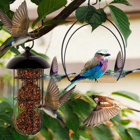 Winemana natural wood base supports gentle roosting and rest.
