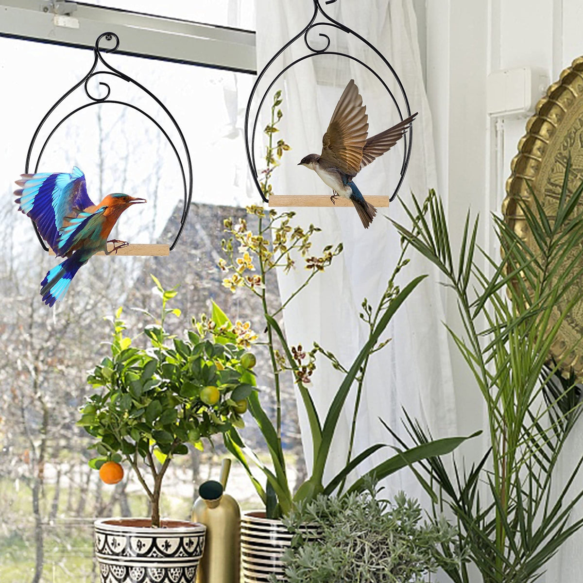Winemana hummingbird swing makes a thoughtful nature gift.