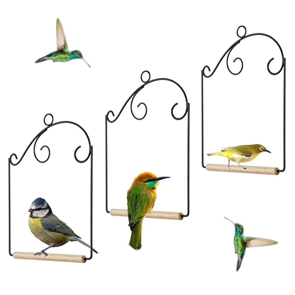 Winemana hummingbird swing with rust-resistant frame for outdoor viewing