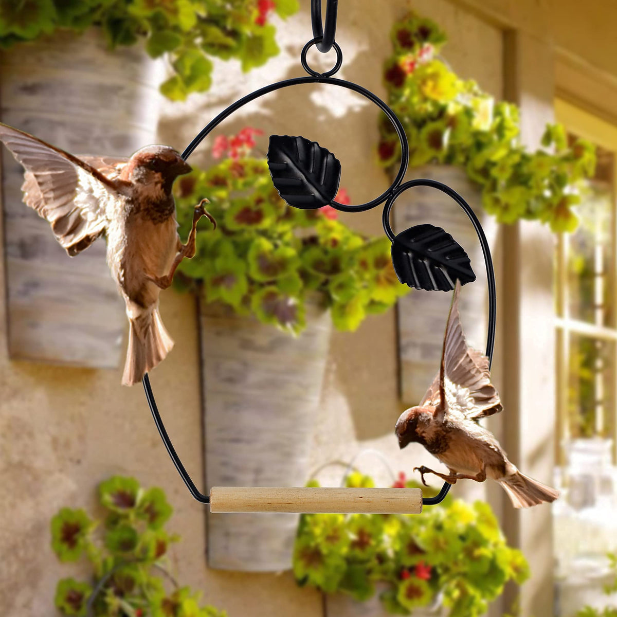 Winemana hummingbird swings near feeder to attract curious visitors