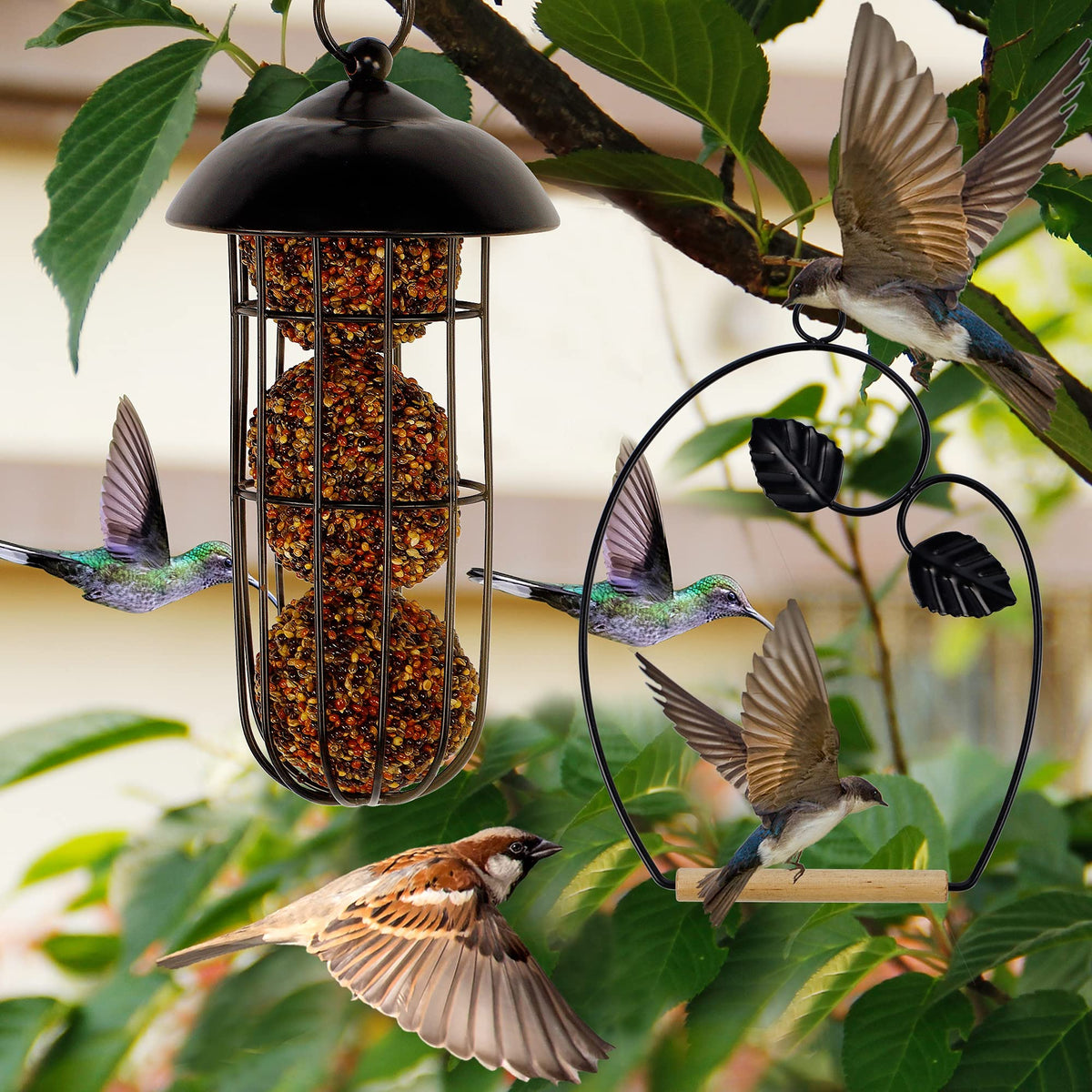 Winemana hummingbird swings rust-resistant coating protects birds and surfaces