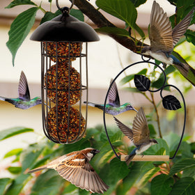 Winemana hummingbird swings rust-resistant coating protects birds and surfaces