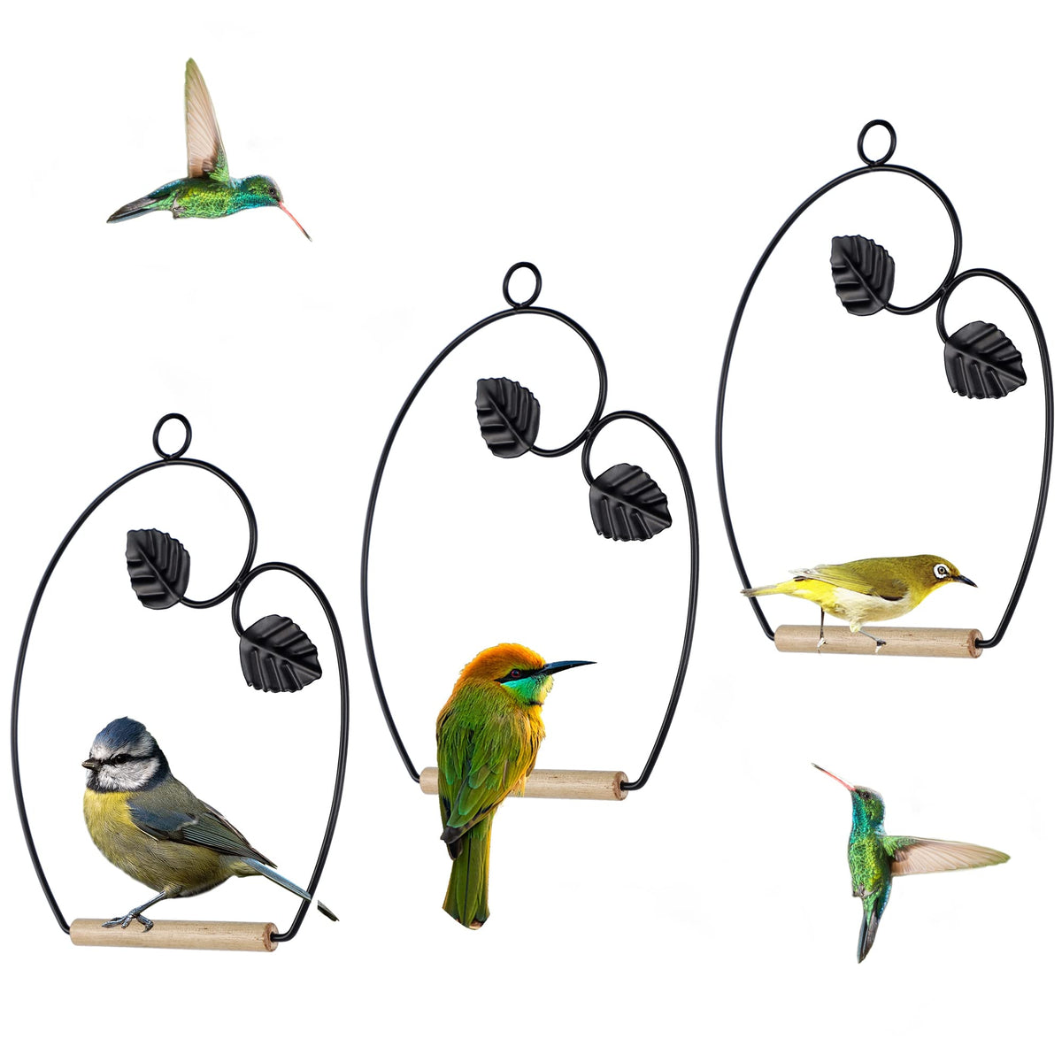 Winemana hummingbird swings set of 3 with rust-proof metal frames for outdoor use