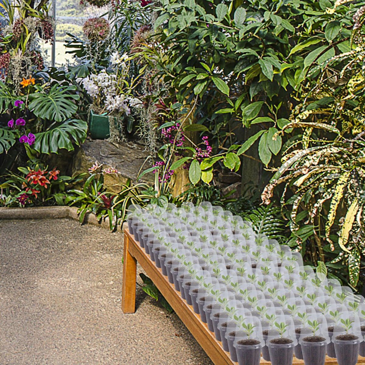 Winemana indoor seedling starter kit supports versatile garden projects.