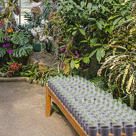 Winemana indoor seedling starter kit supports versatile garden projects.