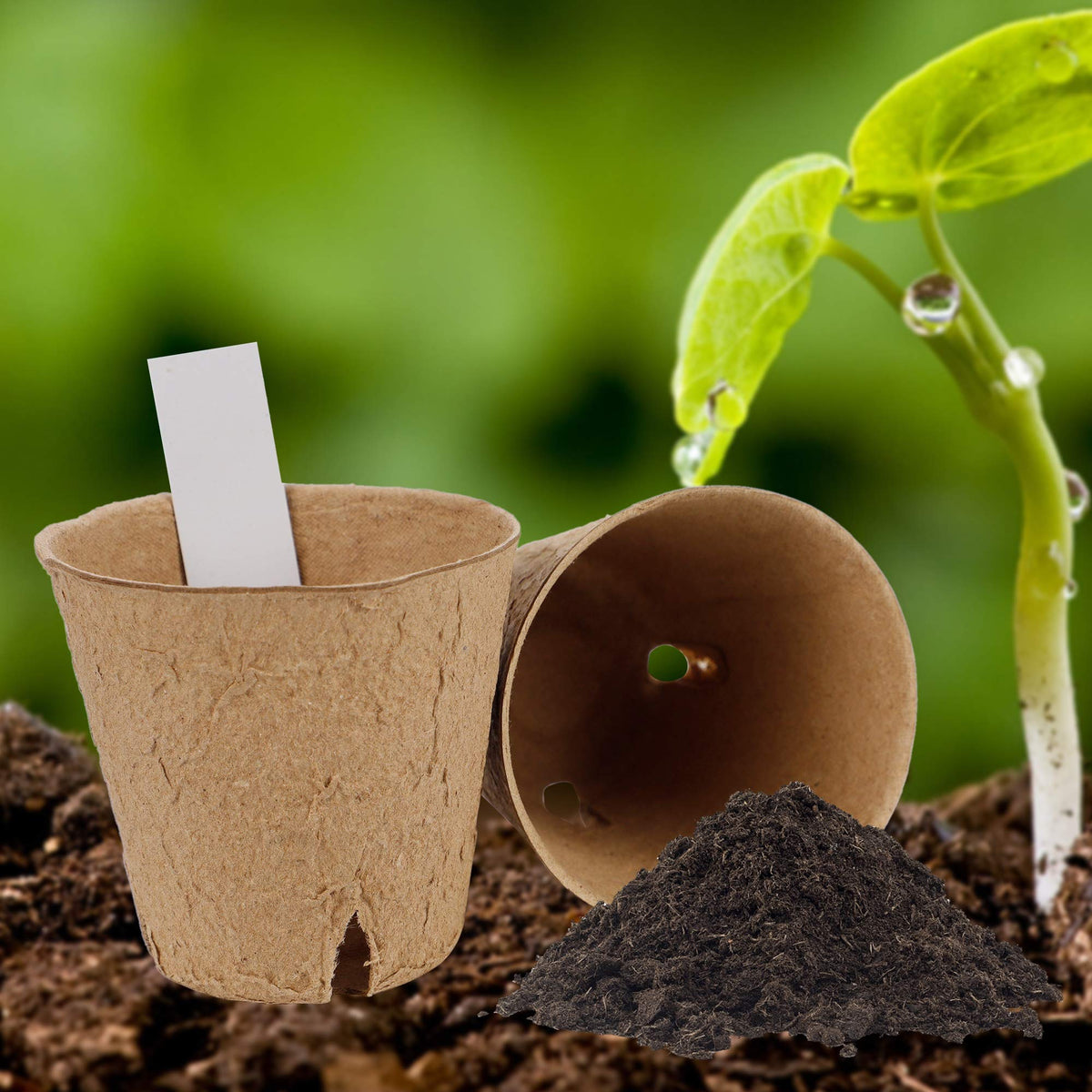 winemana seedling tray in use with flowers and vegetables demonstrates versatile garden setup