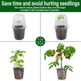 Winemana plant labels included to organize seedling varieties at a glance.