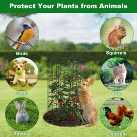 Winemana protection cages with stakes and ties simplify quick garden setup