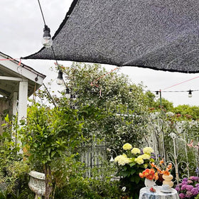 Patio and kennel use with Winemana shade cloth for sun protection