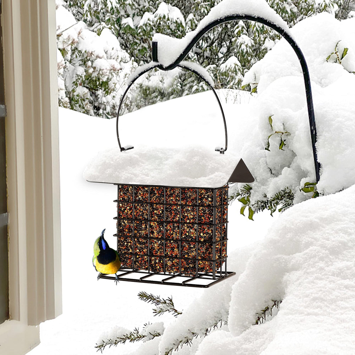 Winemana suet feeder features simple fill and square design for tidy feeding.