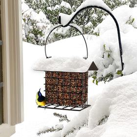 Winemana suet feeder features simple fill and square design for tidy feeding.