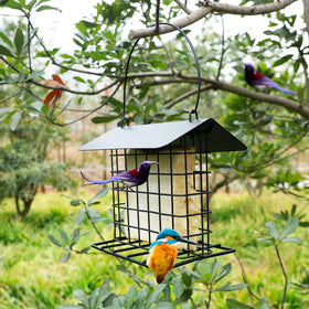 Winemana suet feeder supports multiple birds at once in your garden.