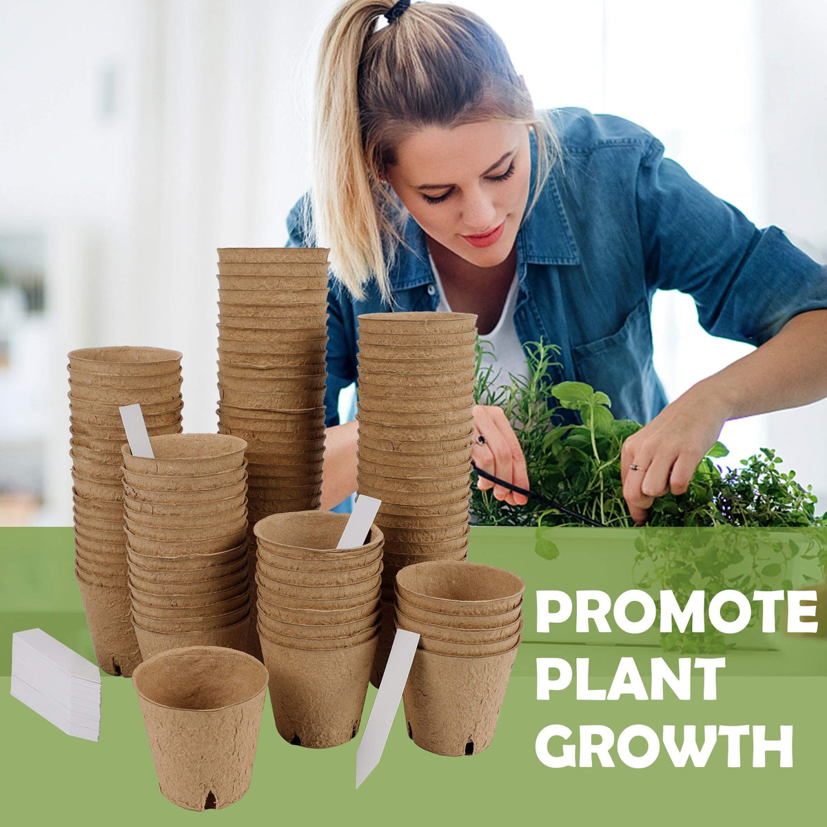 winemana 3x3 inch pots provide balanced drainage for healthy growth