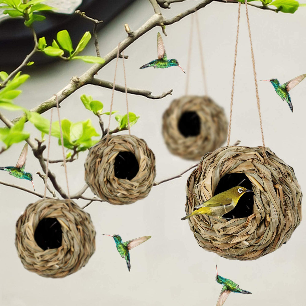 Winemana durable natural grass nest withstands sun and rain.