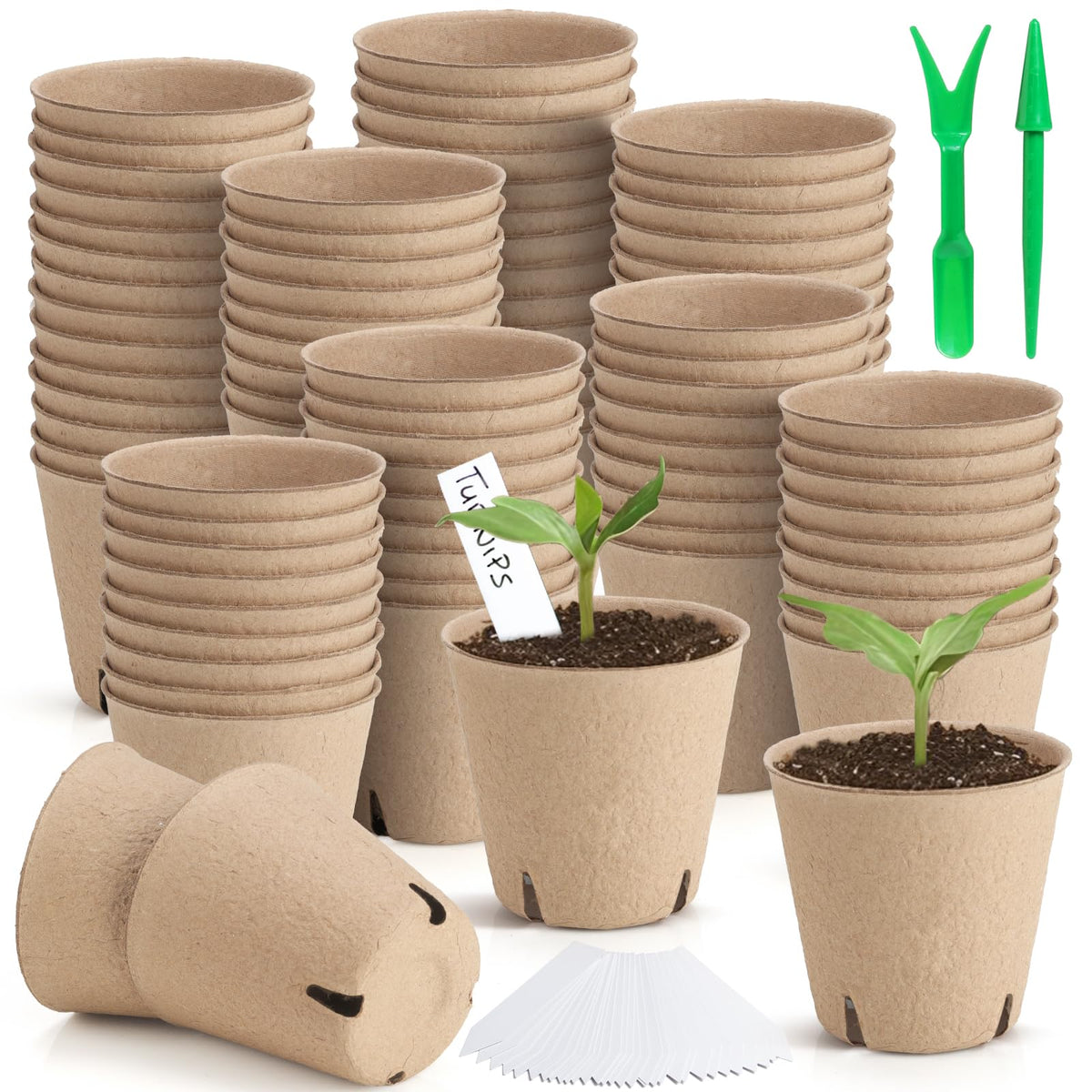 WinJiaYao peat pots for seed germination and smooth root development