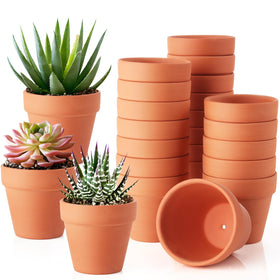 WinJiaYao terracotta pot close-up with drainage hole for healthier succulent roots.