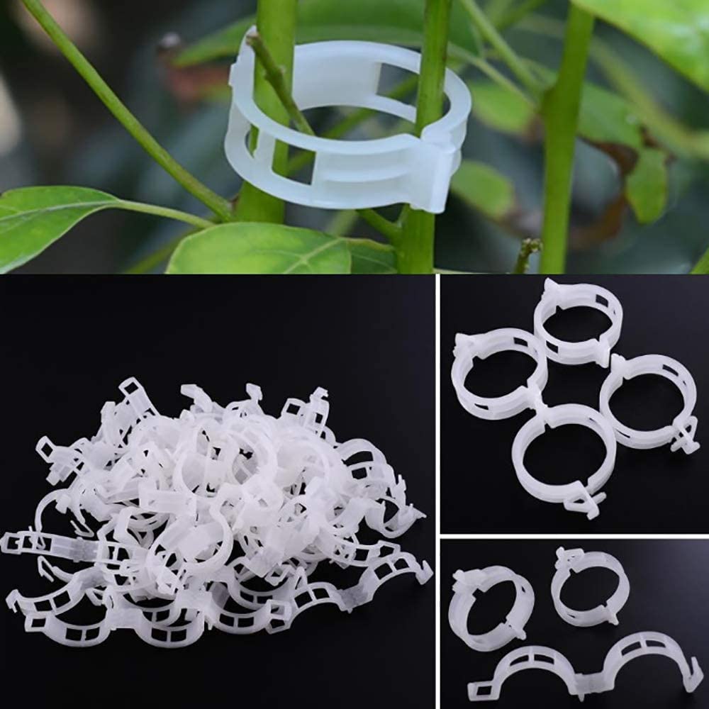 Winmany garden clips for beans secure vines and prevent breakage.