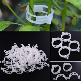Winmany garden clips for beans secure vines and prevent breakage.