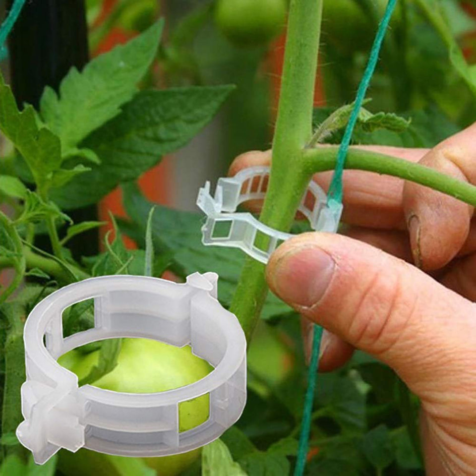 Winmany plant-support clips for tomatoes stabilize stems and keep plants neat.