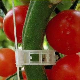 Winmany quick-release plant clips enable easy repositioning on small stems.