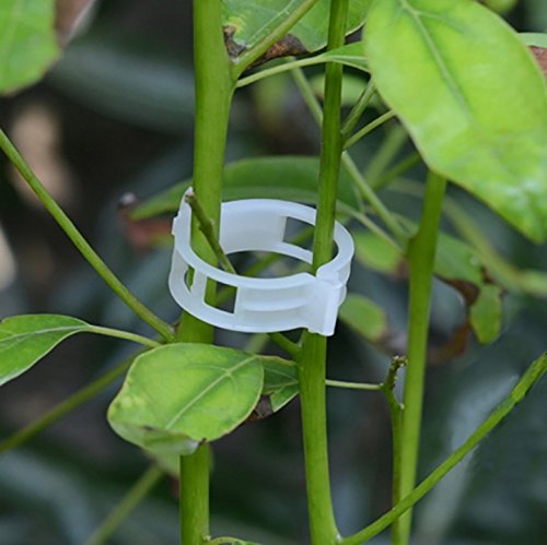 Winmany reusable garden clips provide durable, reusable plant support.