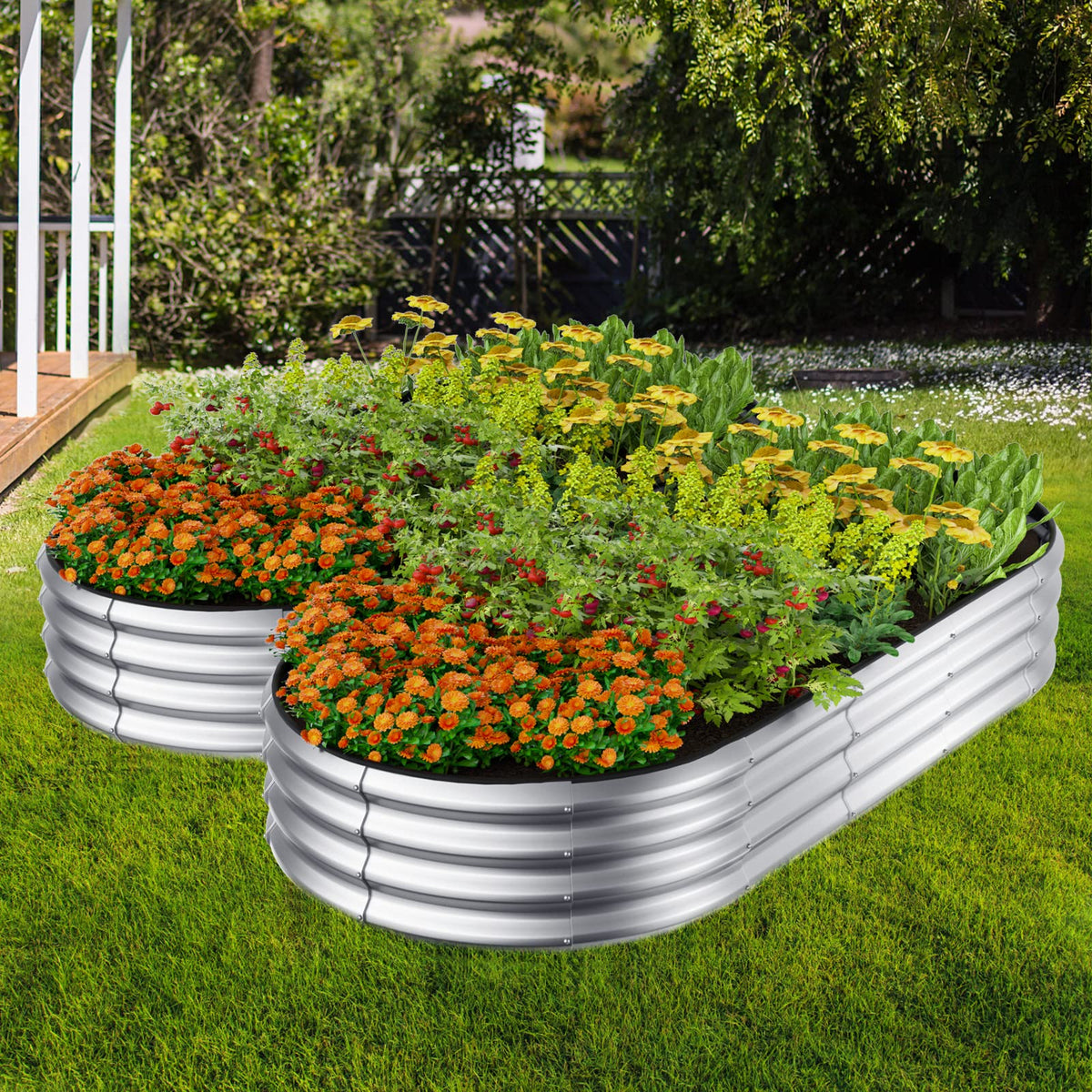 Winpull 12-inch deep bed holds ample soil for carrots and leafy greens.